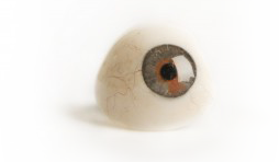 Prosthetic Eye